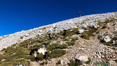 Ultimo tratto prima della croce di vetta