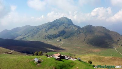 pizzo-formico