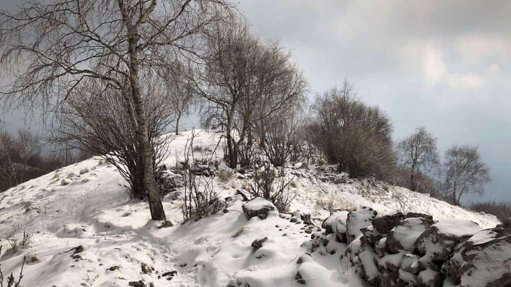 alberi e neve sulla cresta