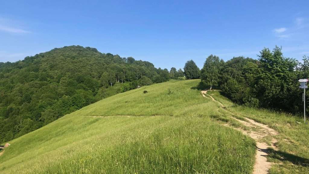 prati sotto la vetta del Canto Alto
