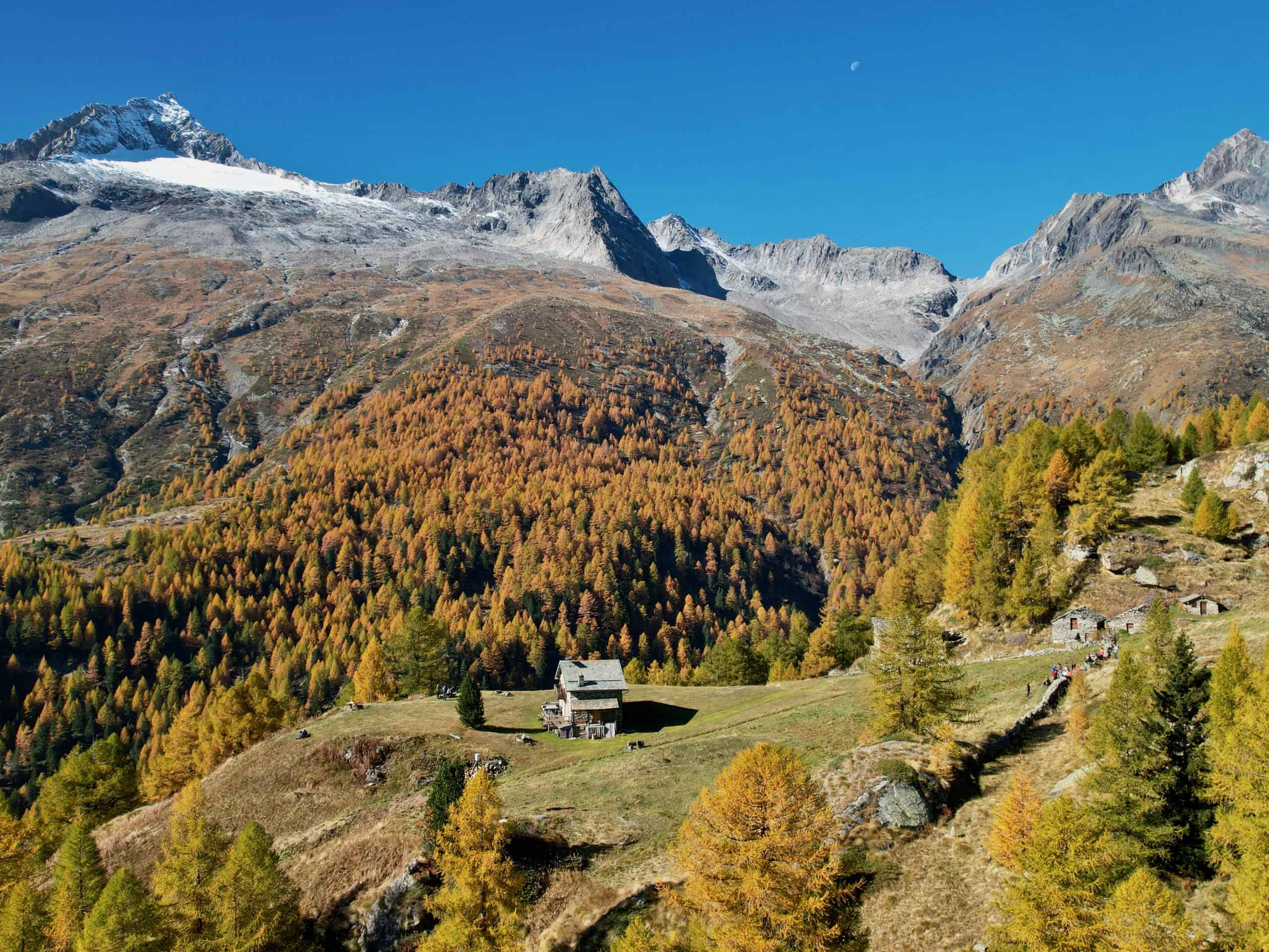 chiareggio - alpe dell'oro