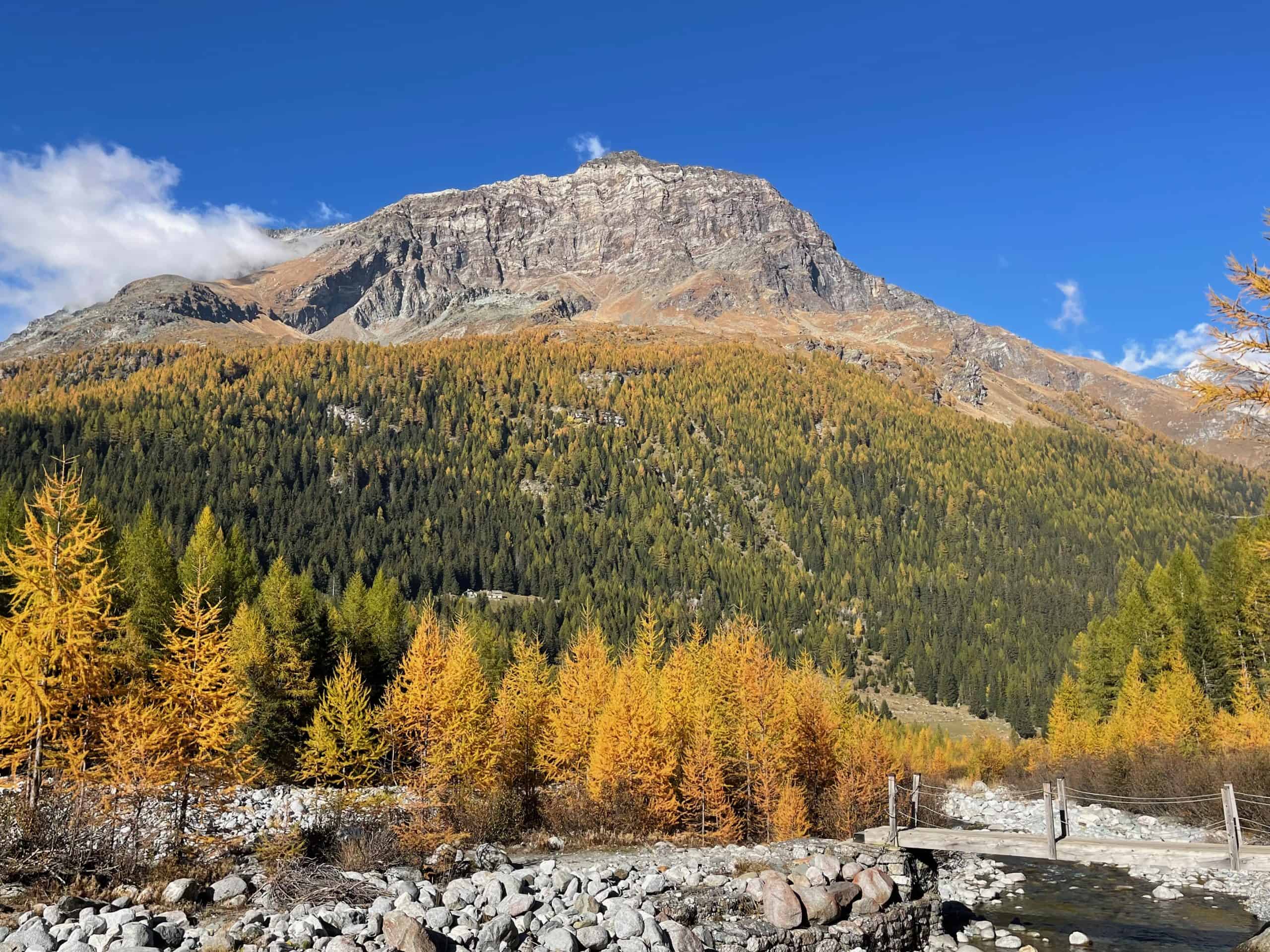 chiareggio alpe dell'oro