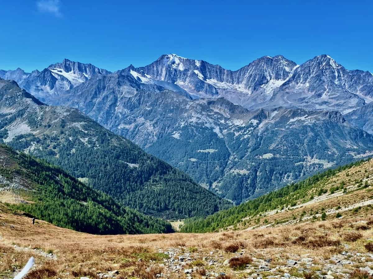 Camoscellahorn