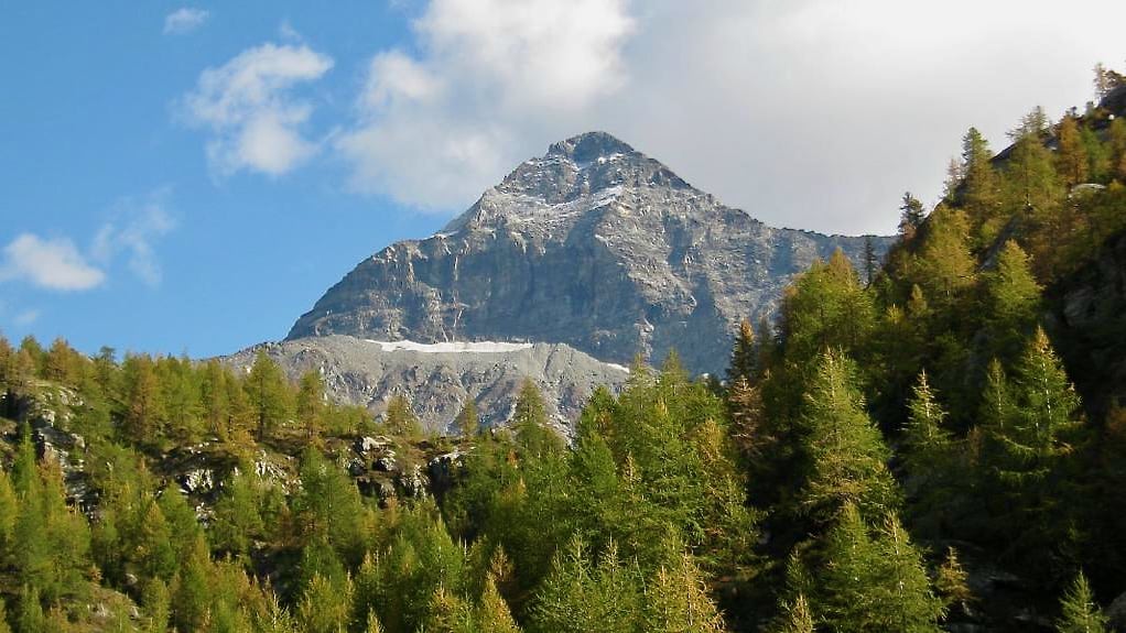 pizzo scalino