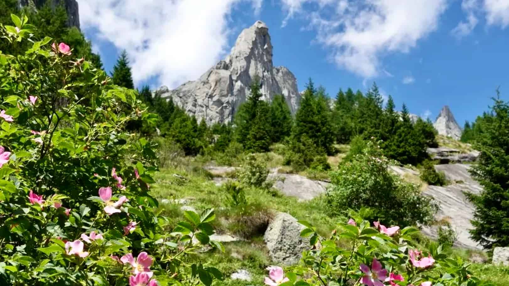 rifugio allievi bonacossa sentiero roma