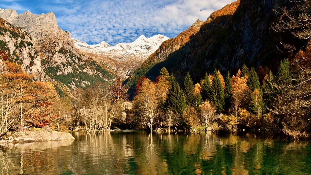 Foliage in Val di Mello