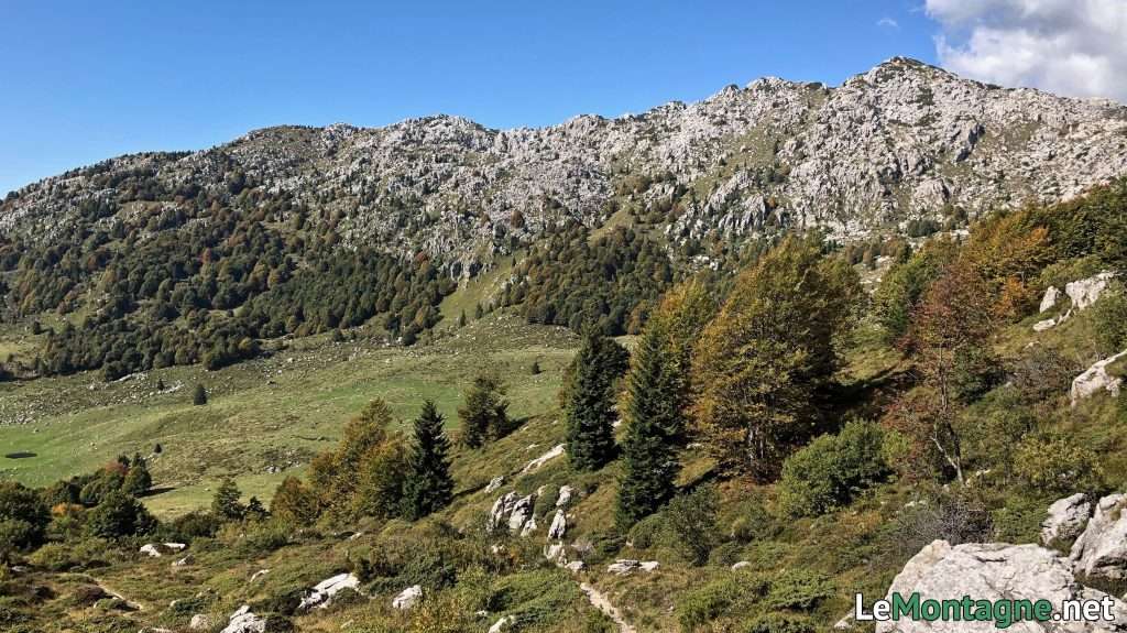 pascoli e rocce verso il Monte Alben