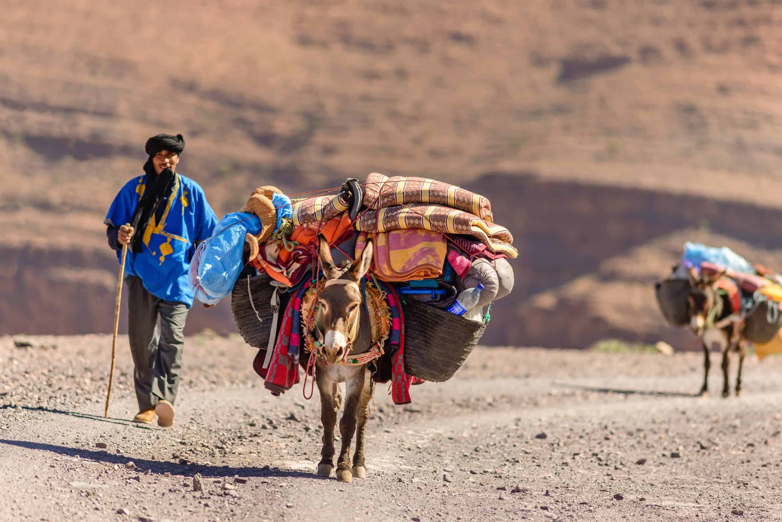 marocco trasporto bagagli con i muli