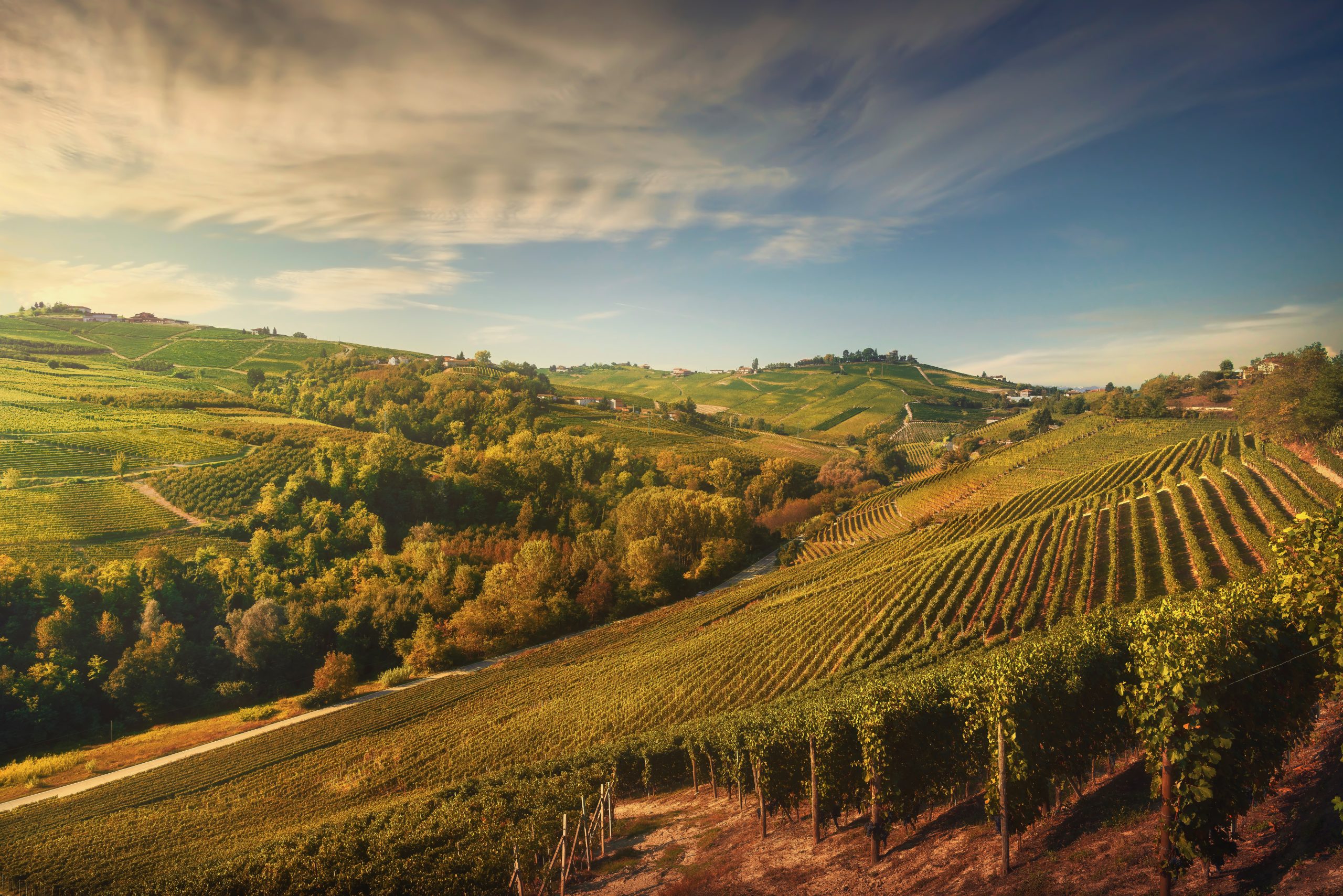 Langhe