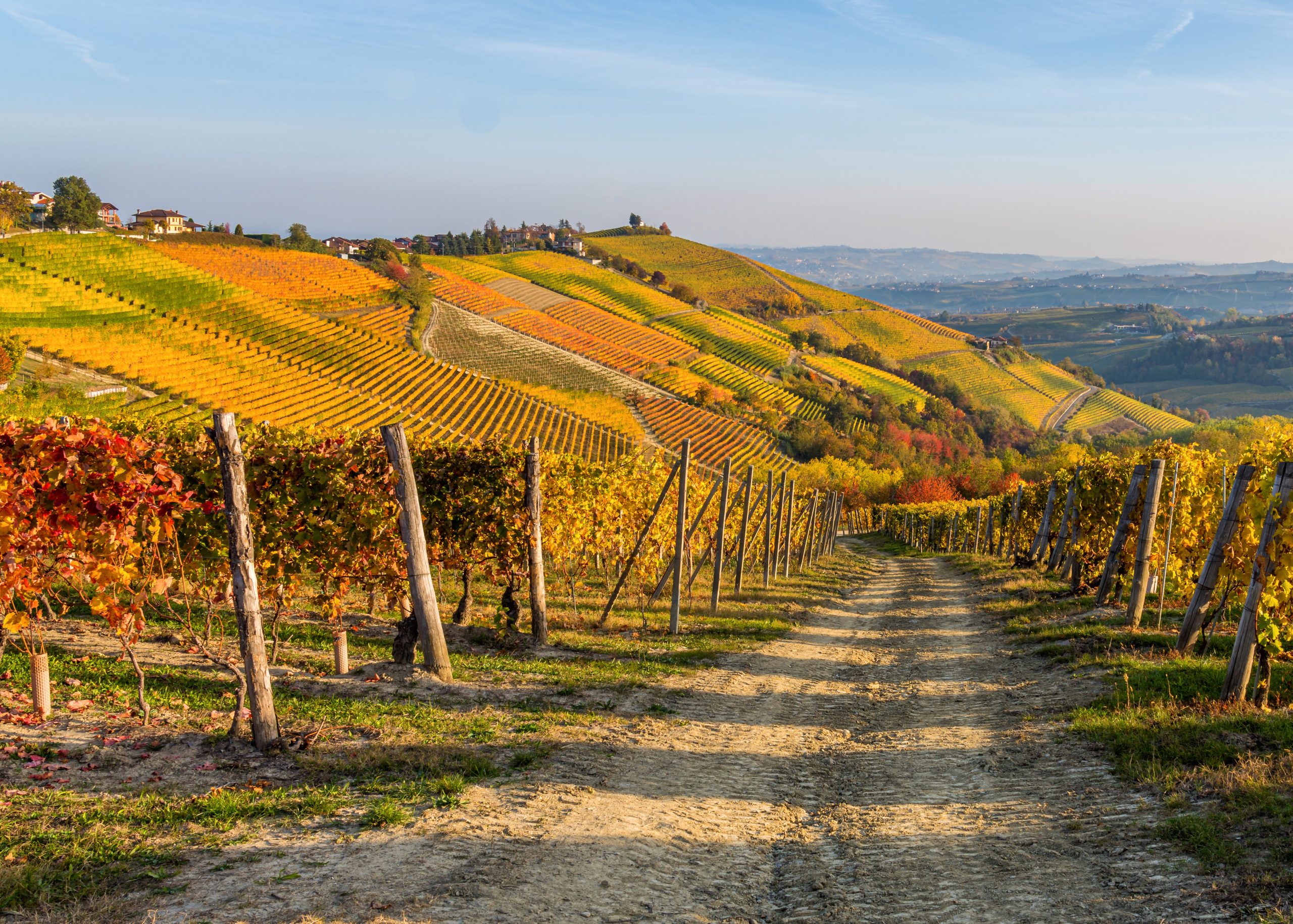 langhe