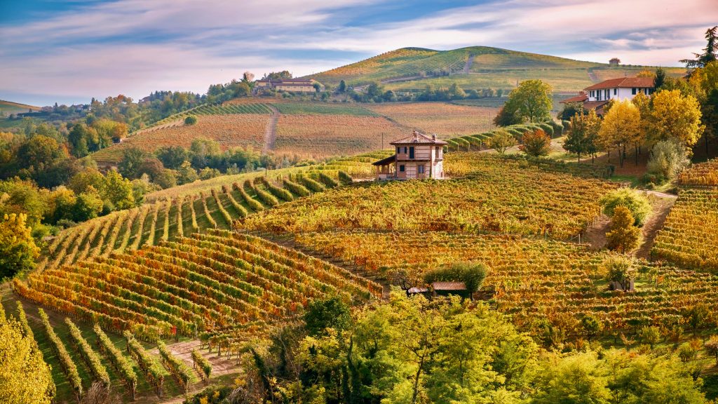 langhe autunno folliage