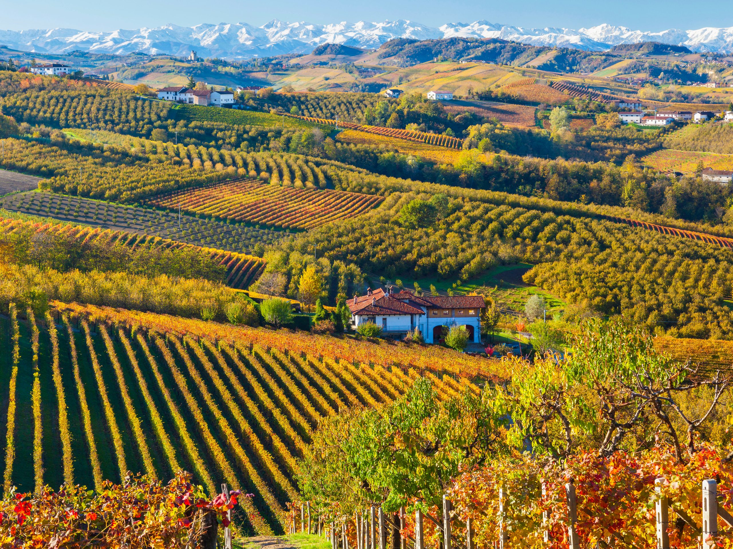 langhe folliage autunno