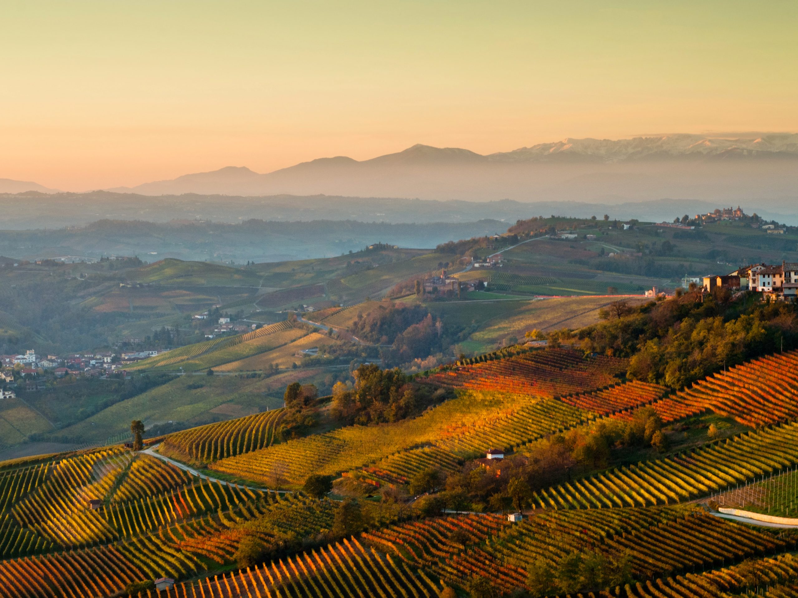 langhe folliage autunno