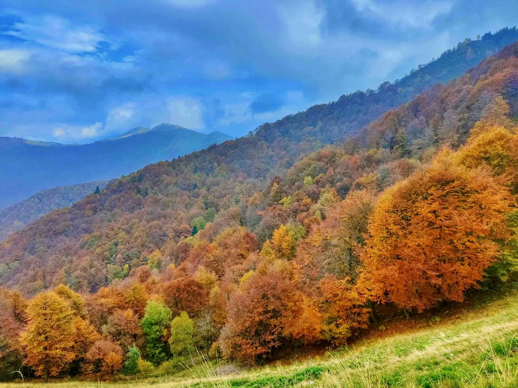 oasi zegna i colori dell'autunno