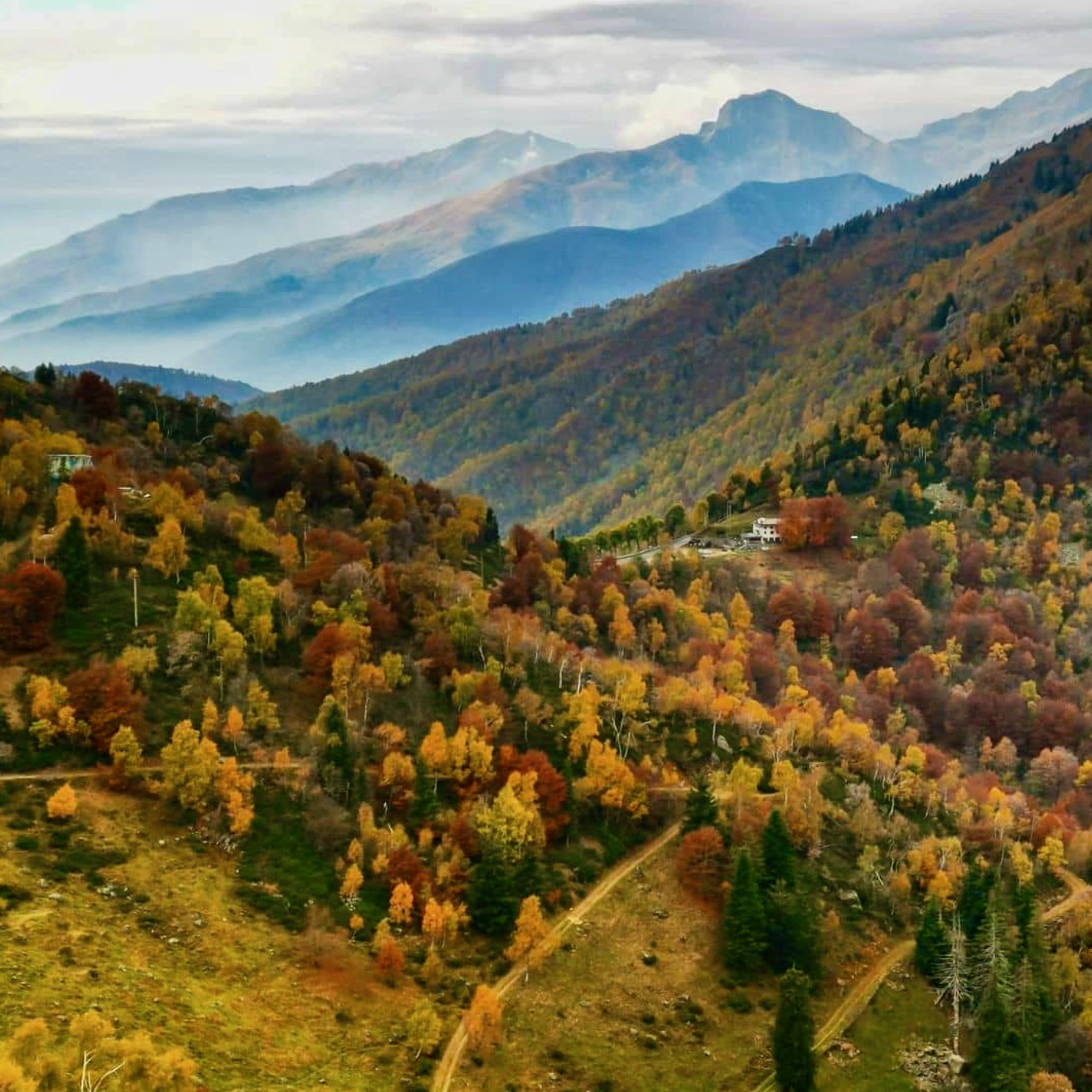 oasi zegna autunno