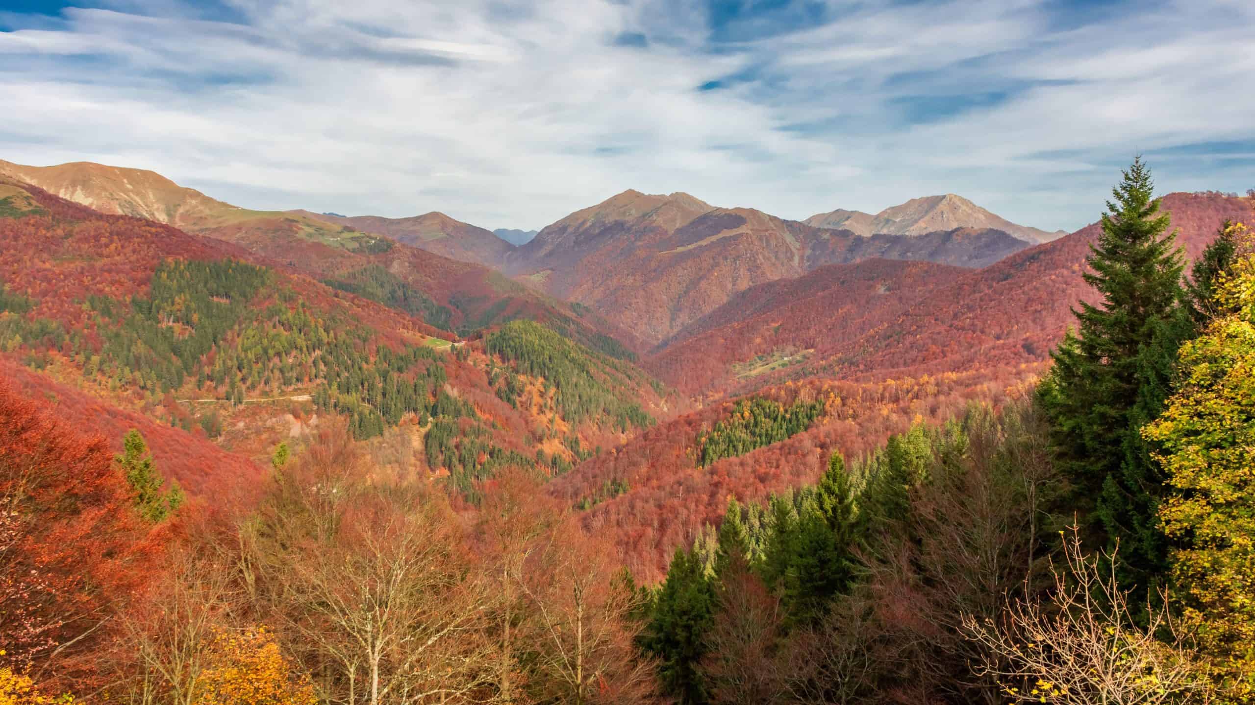 Trekking, folliage  e musica all'Oasi Zegna