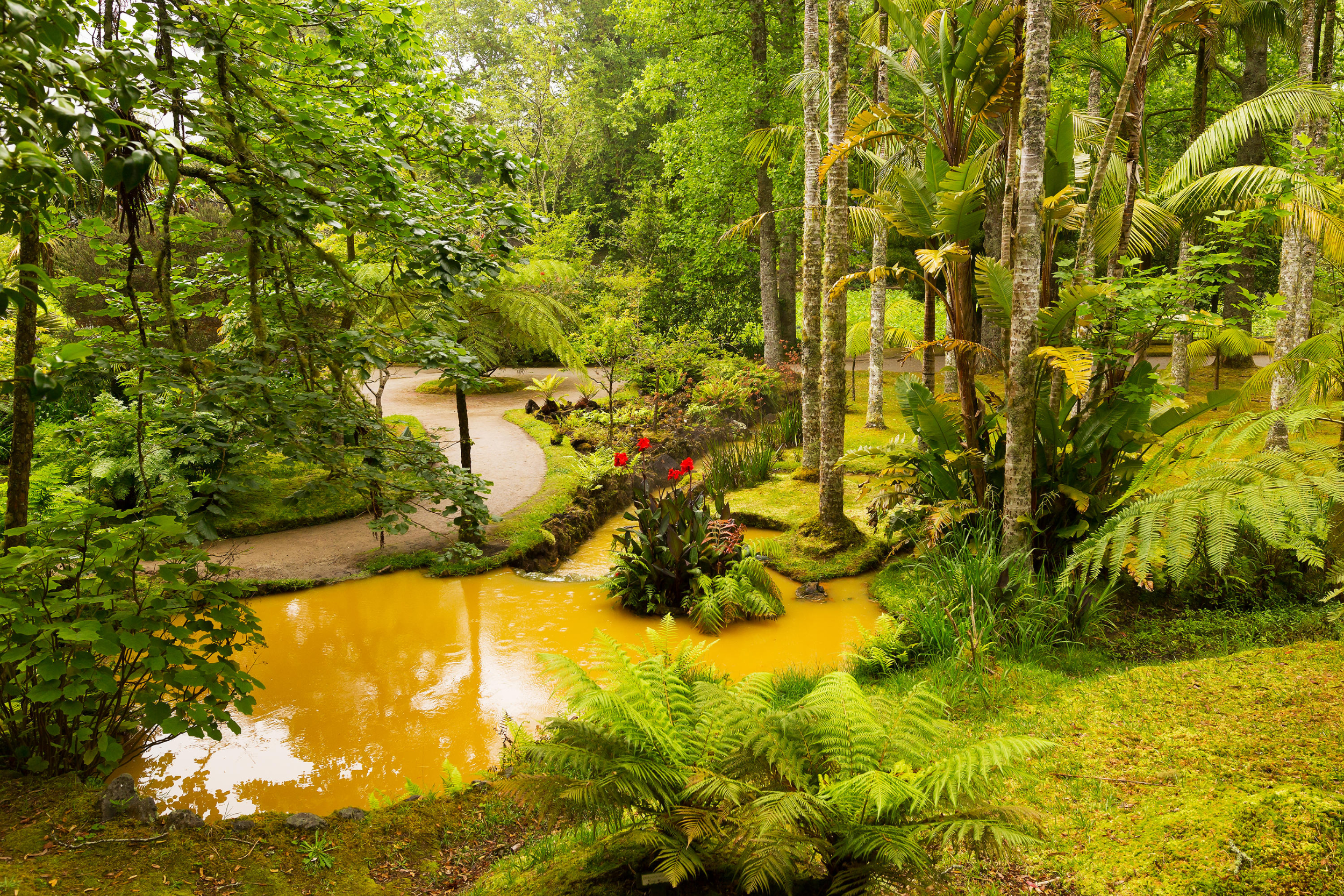 giardini botanici del Parque Terra Nostra