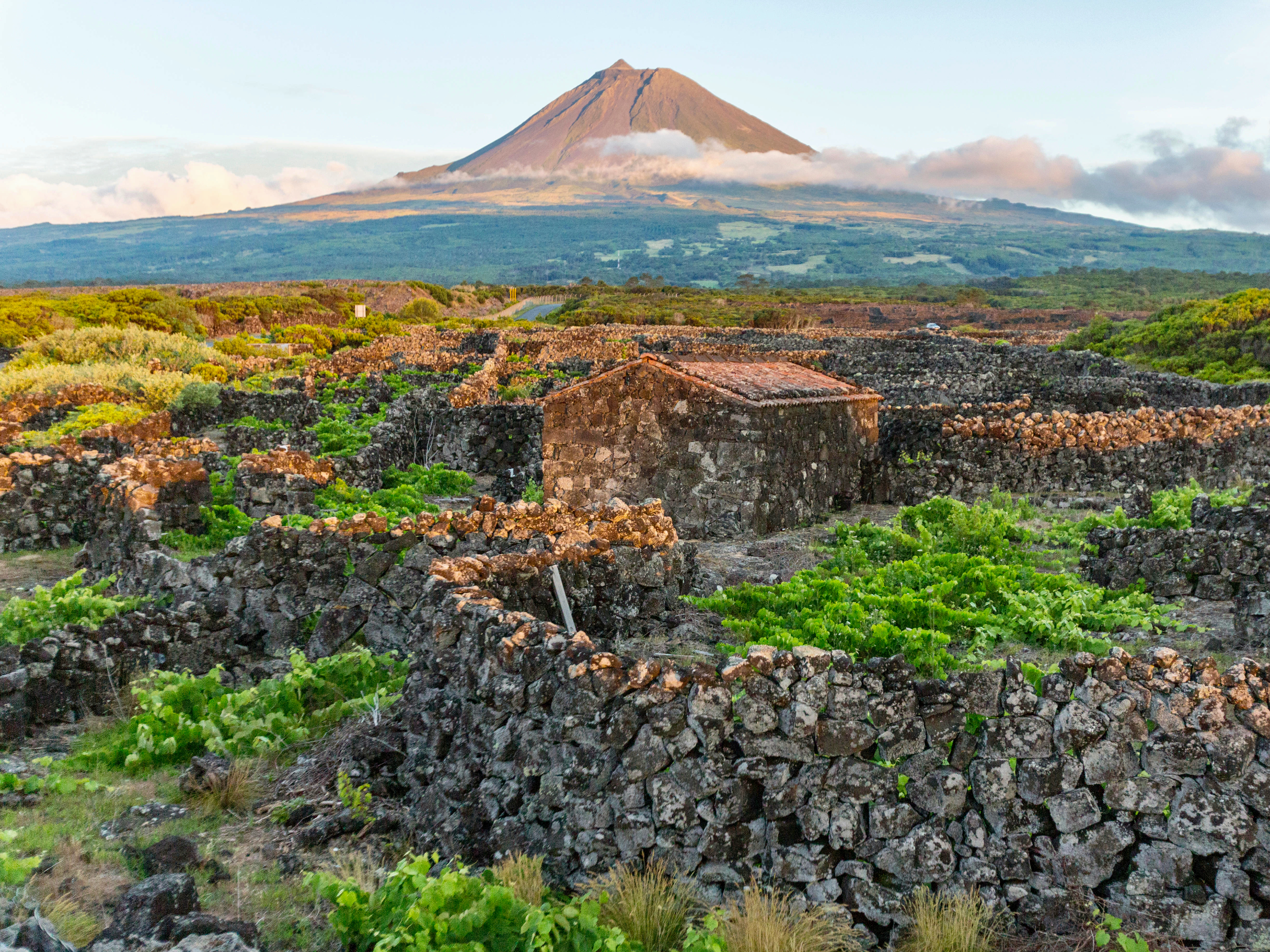 isola di pico, azzorre