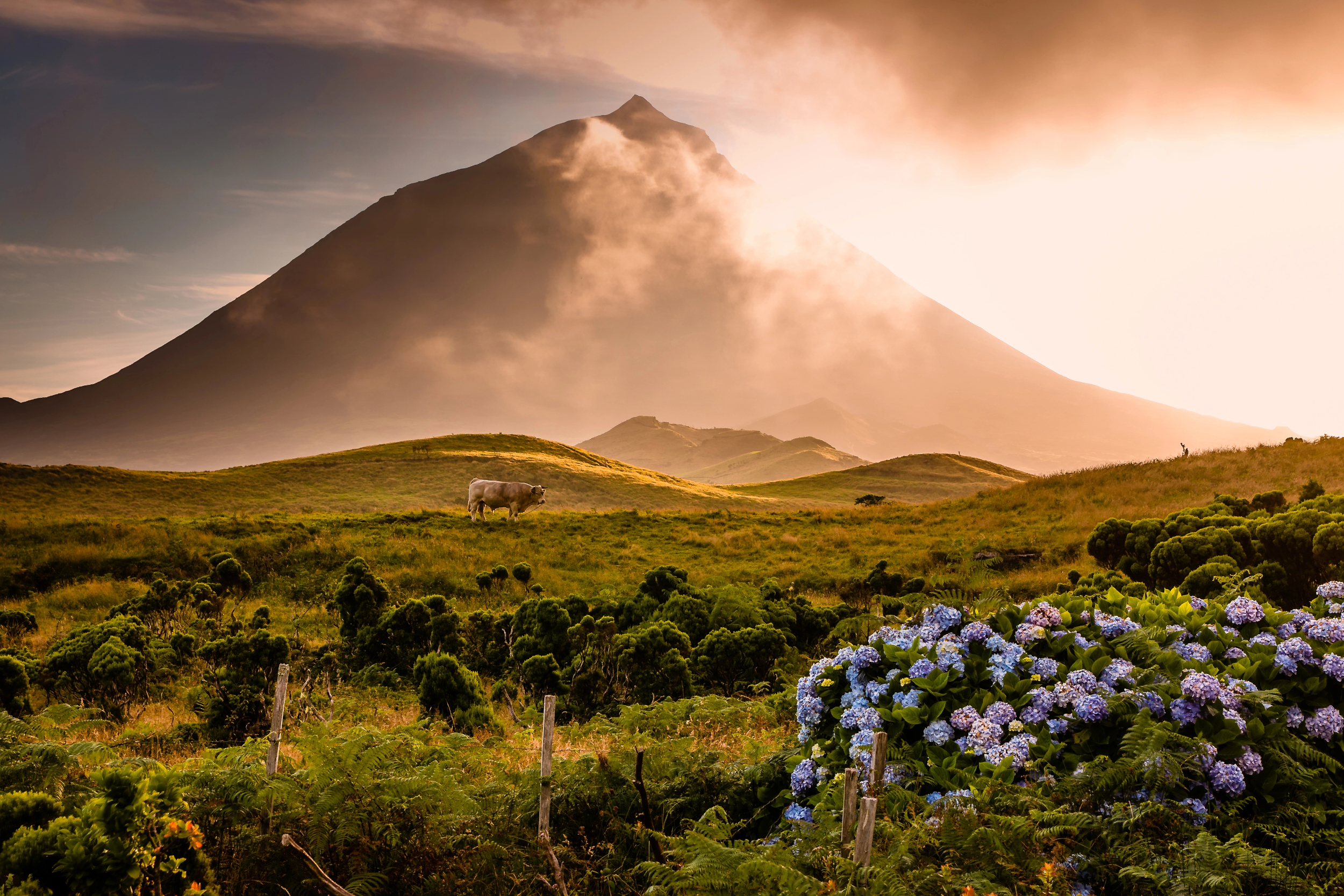 Vulcano di Pico alle Azzorre