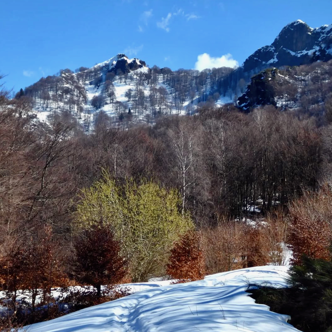 Rifugio Buzzoni