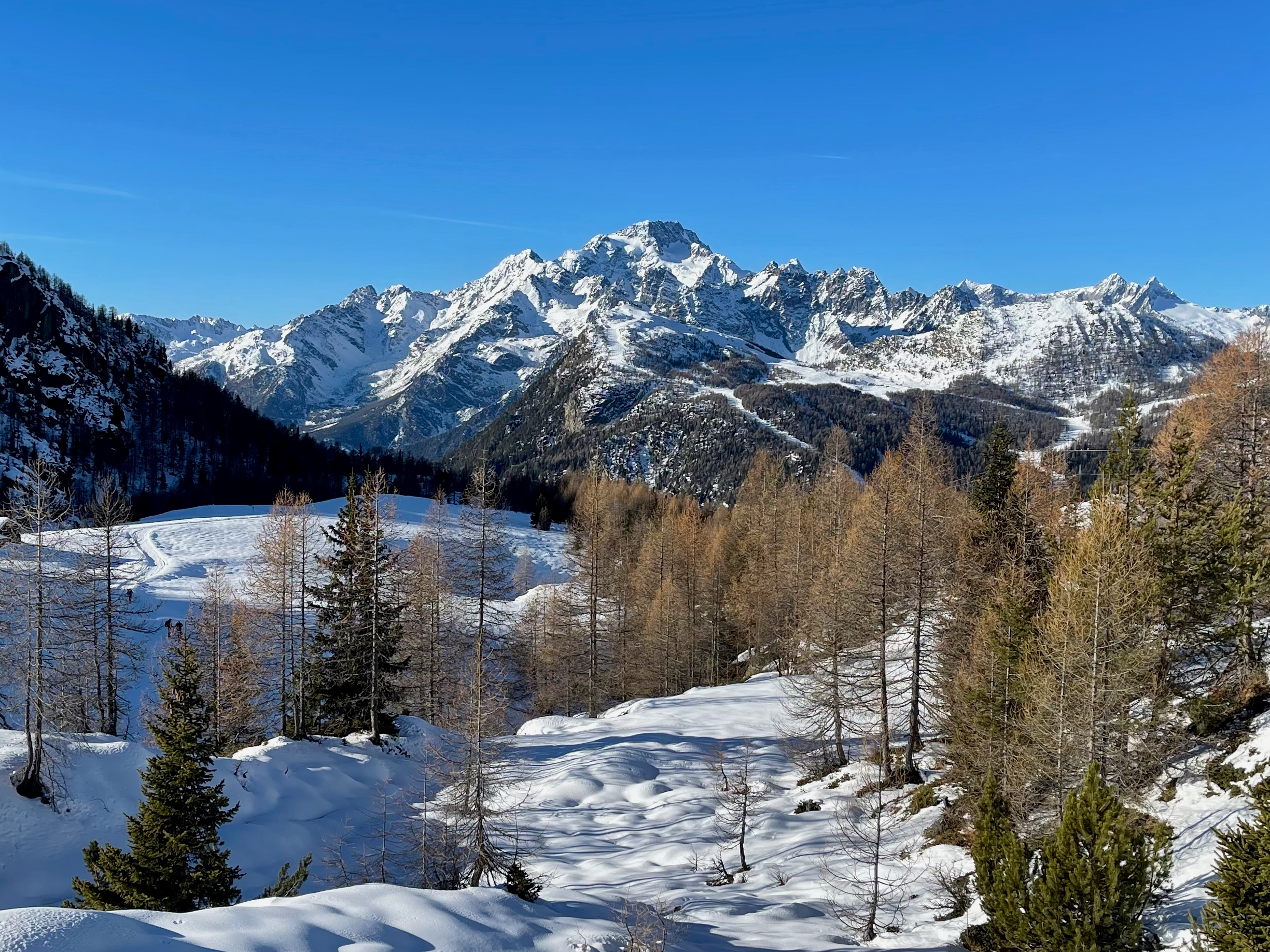 monte disgrazia